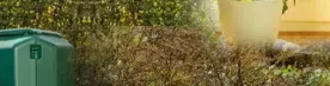 MontageNeudorff11-21